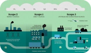Diagram outlining what scope 1-3 emissions outline